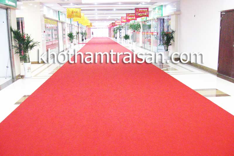 Thảm đỏ trải hành lang