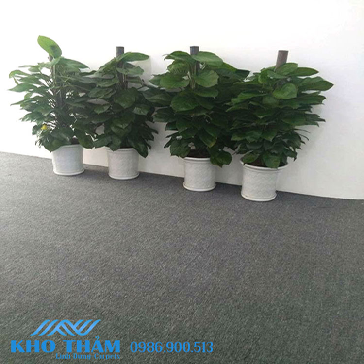 Thảm văn phòng màu ghi Thảm văn phòng màu ghi